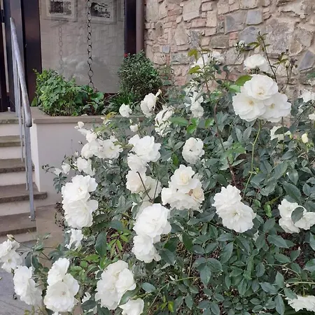 Hotel Le Macine Montaione