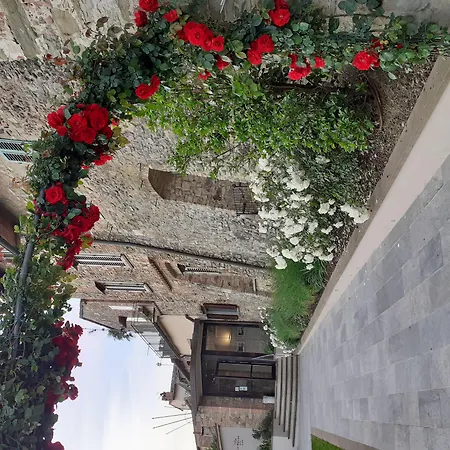 Hotel Le Macine 3*
