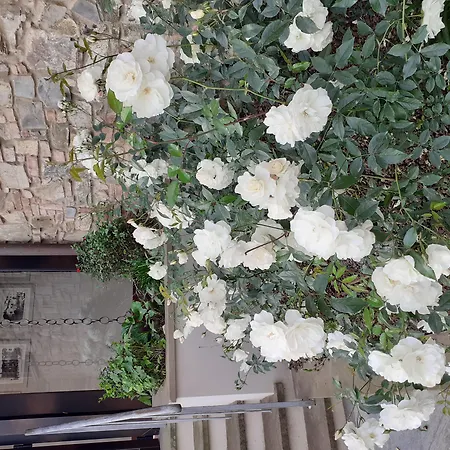 Le Macine Hotel