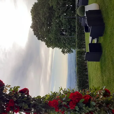 Hotel Le Macine